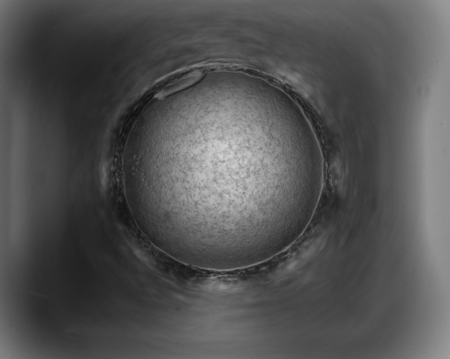 X0000088831496200706141511