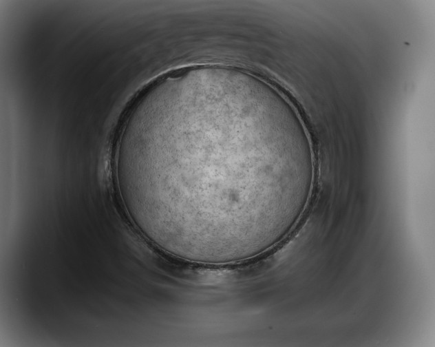 X0000088831498200706141511