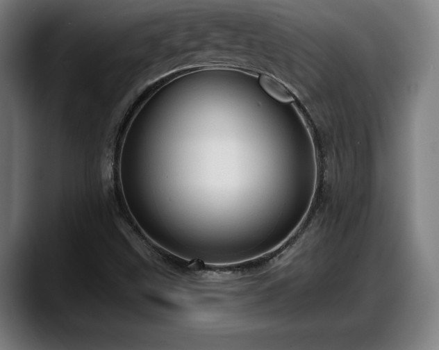 X0000088831499200706141511