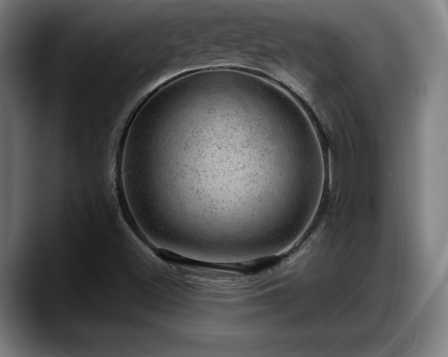 X0000088831500200706141511