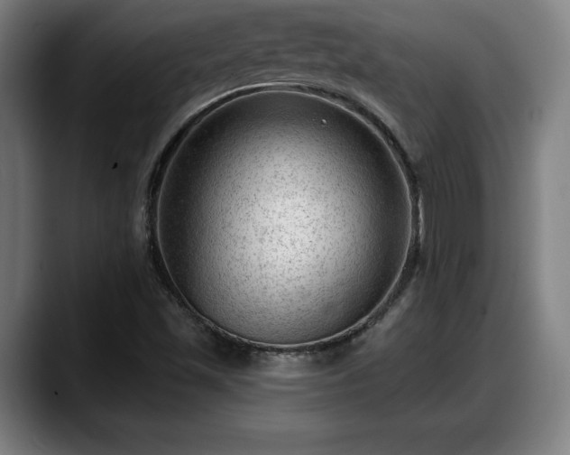 X0000088831501200706141511