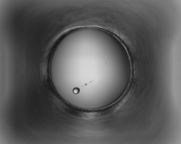 X0000088831502200706141511