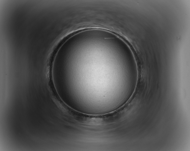 X0000088831503200706141511