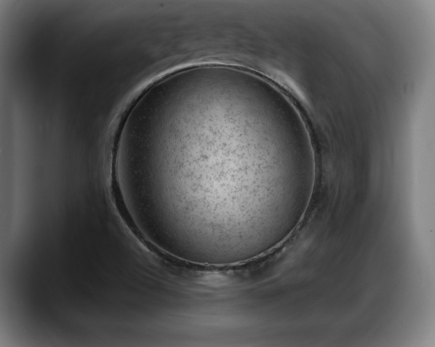 X0000088831504200706141511