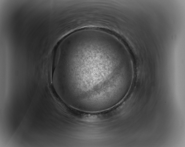 X0000088831505200706141511