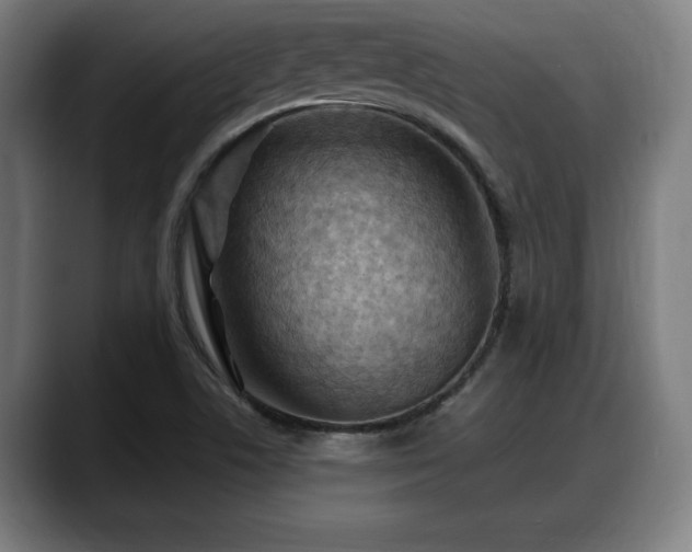 X0000088831506200706141511