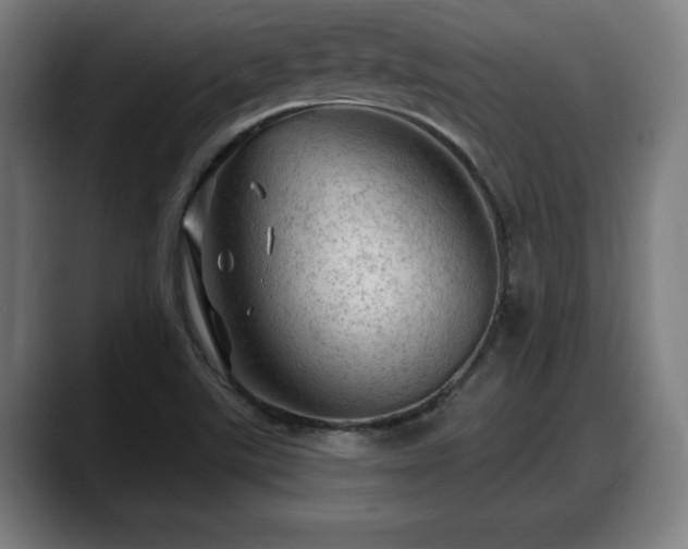 X0000088831507200706141511