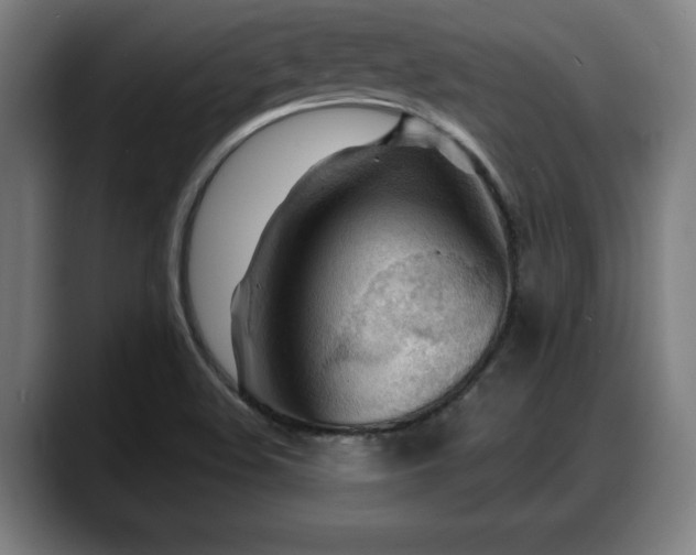 X0000088831508200706141511