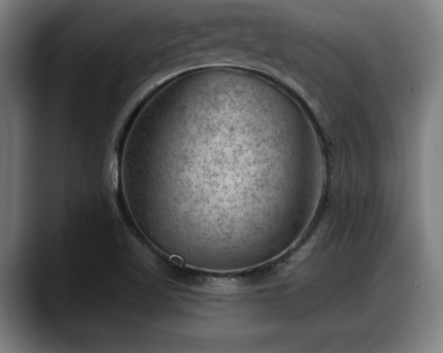 X0000088831509200706141511