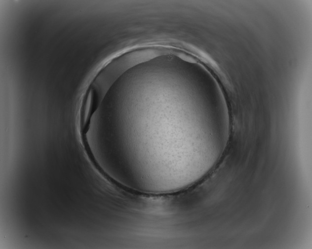 X0000088831512200706141511