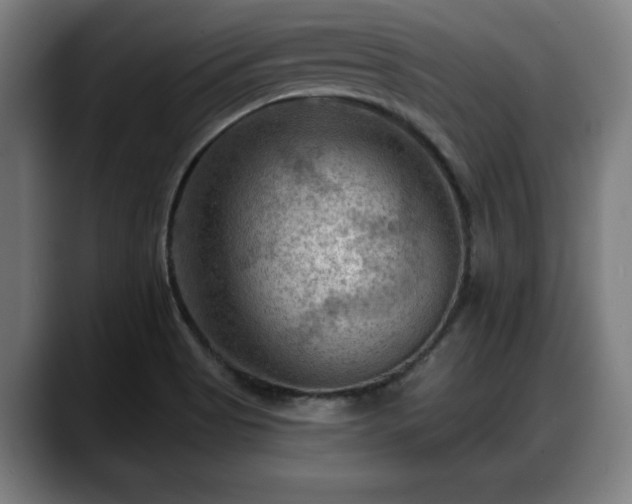 X0000088831513200706141511