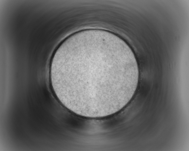 X0000088831514200706141511