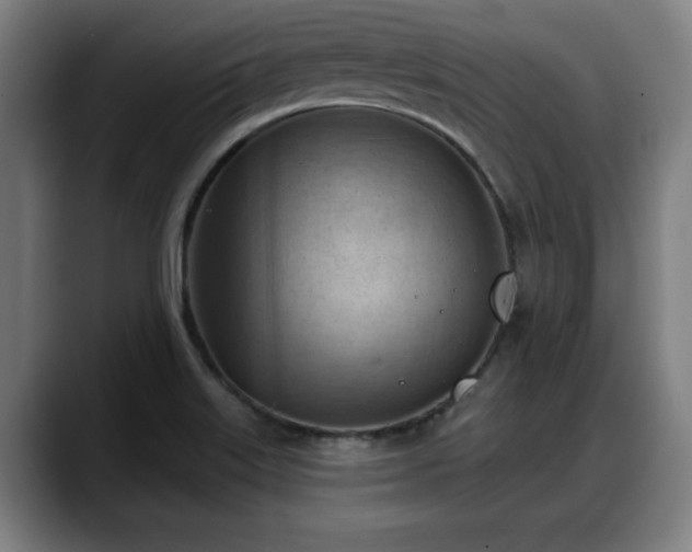 X0000088831515200706141511
