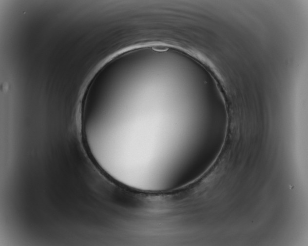 X0000088831516200706141511