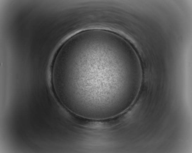 X0000088831517200706141511
