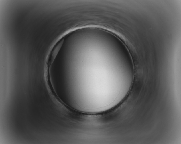 X0000088831518200706141511
