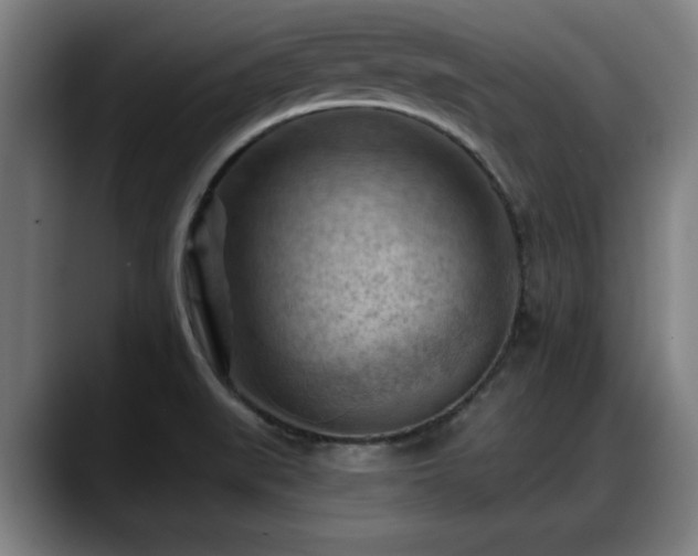 X0000088831519200706141511