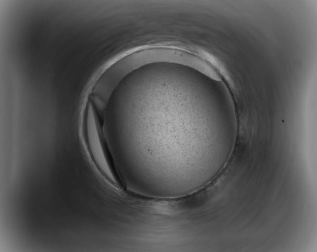 X0000088831520200706141511