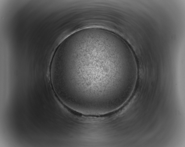 X0000088831521200706141511