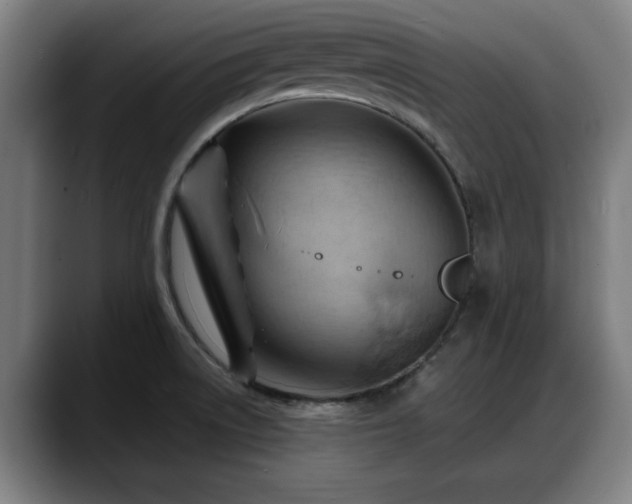 X0000088831522200706141511