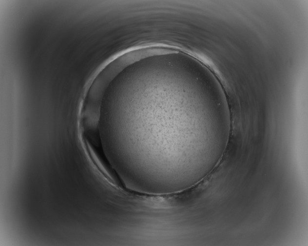 X0000088831524200706141511