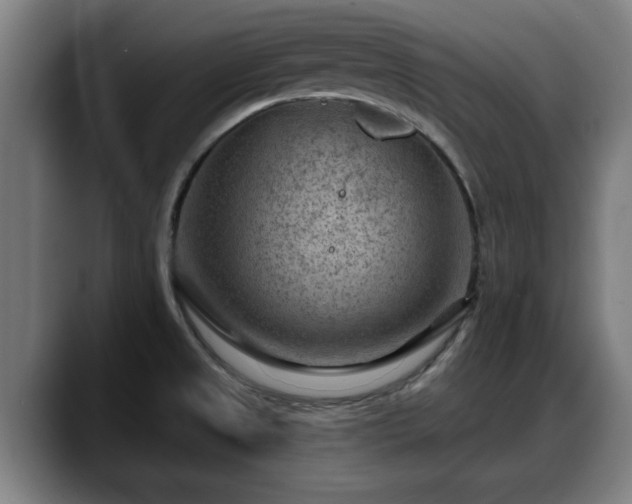 X0000088831525200706141511