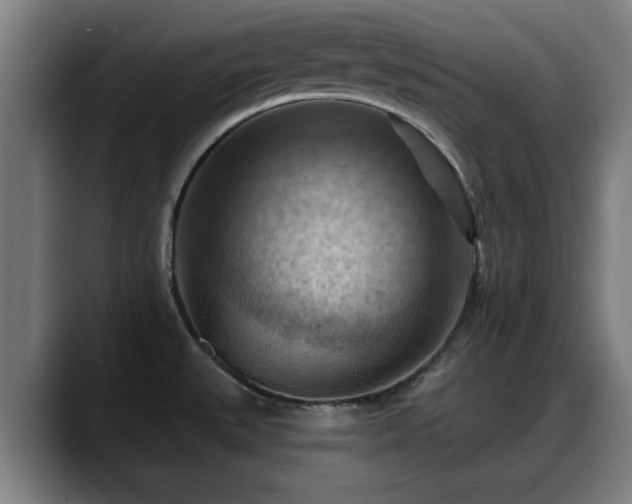 X0000088831527200706141511