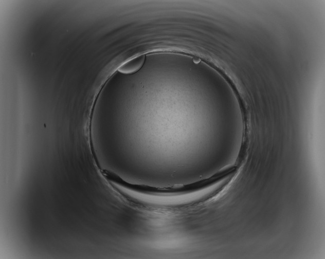 X0000088831529200706141511