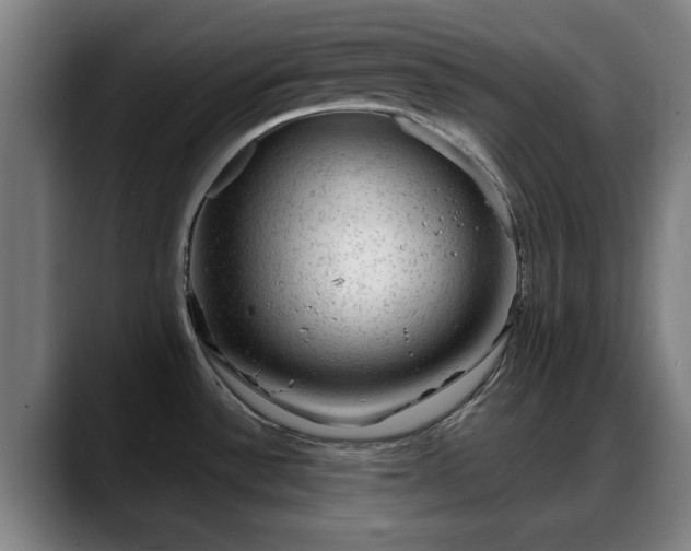X0000088831532200706141511