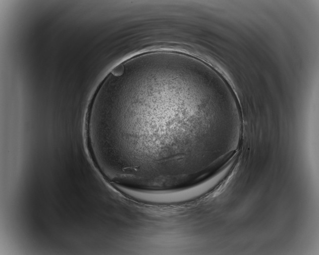 X0000088831533200706141511