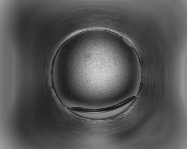 X0000088831534200706141511