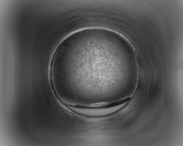 X0000088831535200706141511