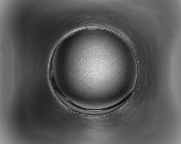 X0000088831536200706141511