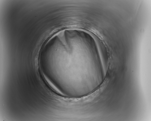 X0000088830002200706211823