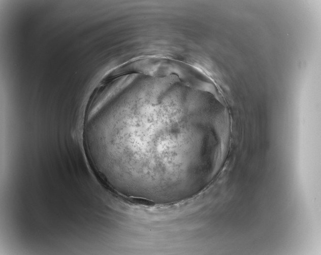 X0000088830003200706211823