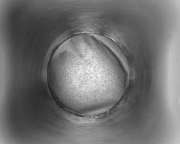 X0000088830004200706211823