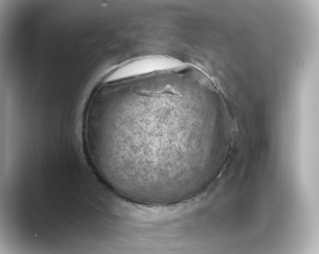 X0000088830006200706211823