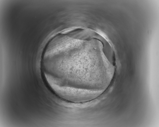 X0000088830007200706211823