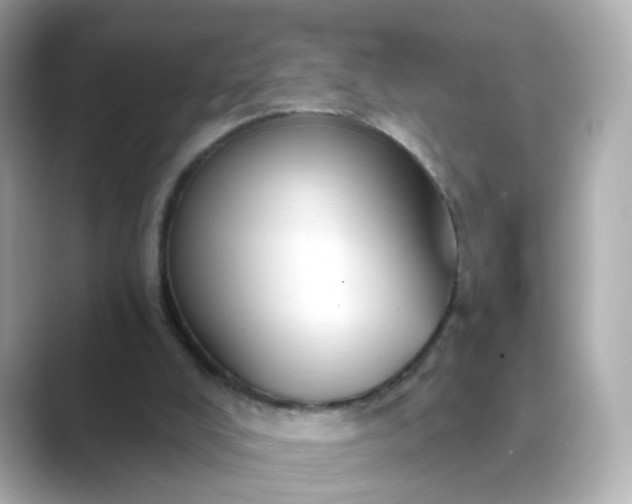 X0000088830008200706211823