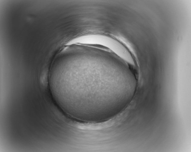 X0000088830009200706211823