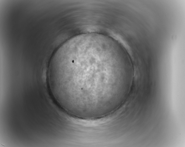 X0000088830010200706211823