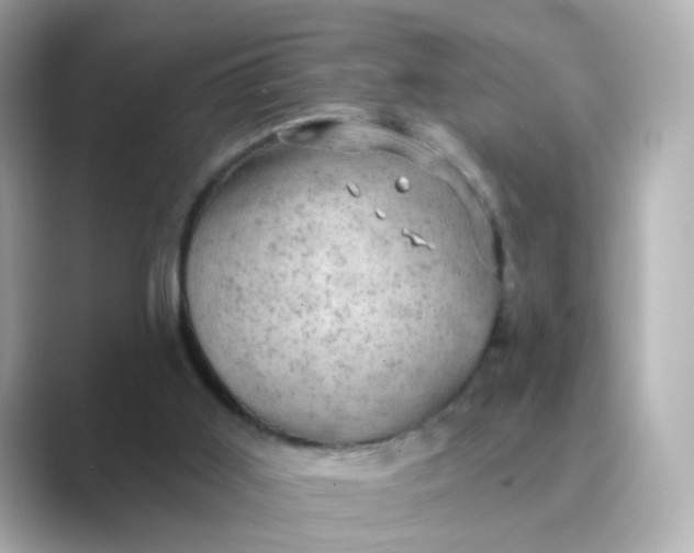 X0000088830011200706211823