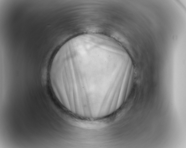 X0000088830012200706211823