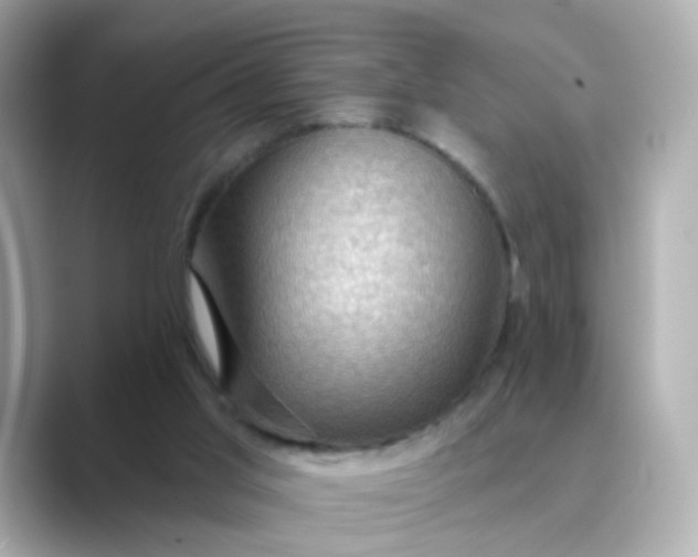 X0000088830013200706211823