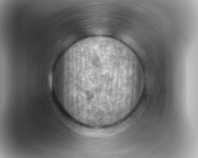 X0000088830014200706211823