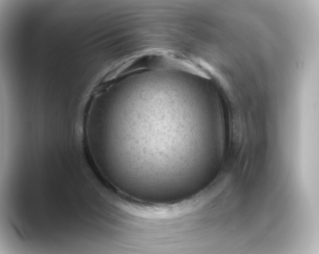 X0000088830015200706211823