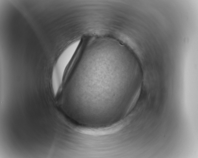 X0000088830017200706211823