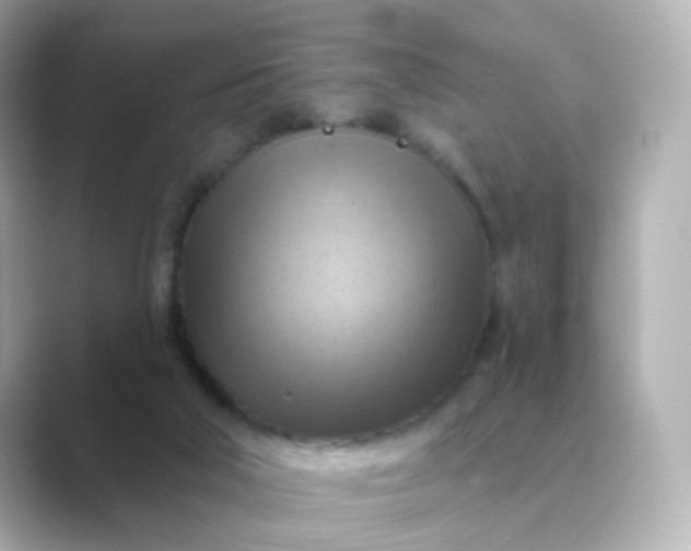 X0000088830018200706211823