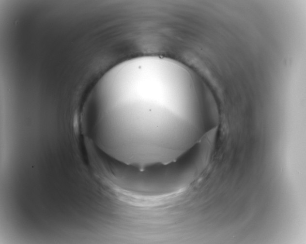 X0000088830019200706211823