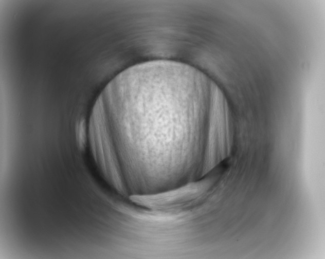 X0000088830020200706211823